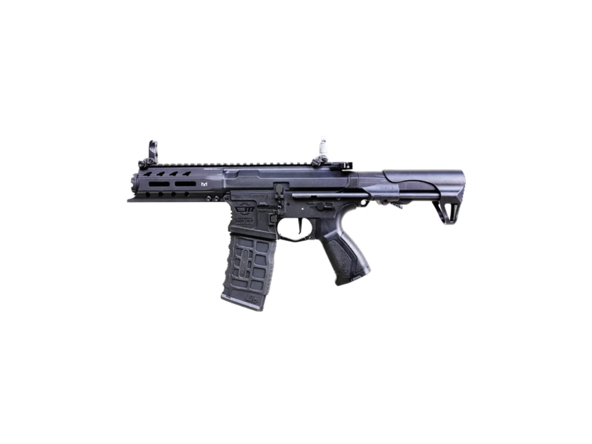 G&G ARP 556 V2S 10